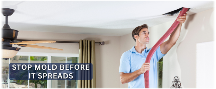 Air Duct Mold Removal in Hoboken NJ